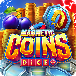 Magnetic Coins Dice